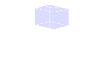 海水魚／海水