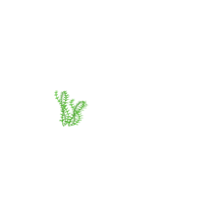 淡水・海水
