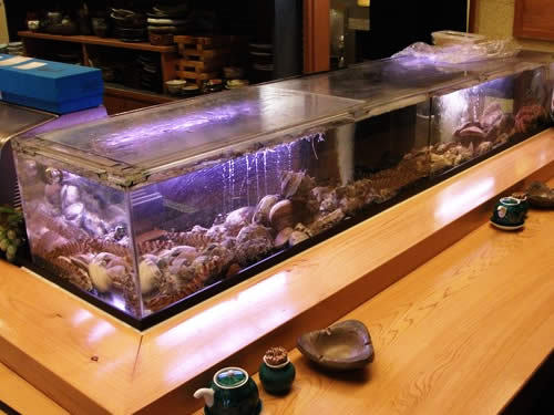 活魚水槽