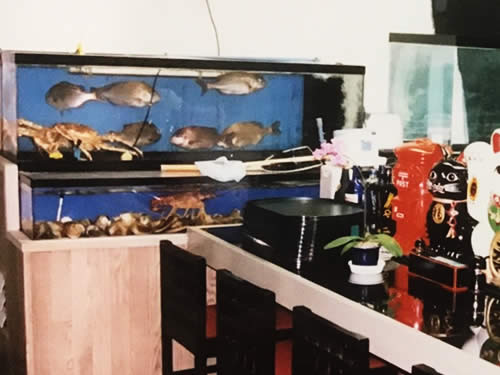 活魚水槽